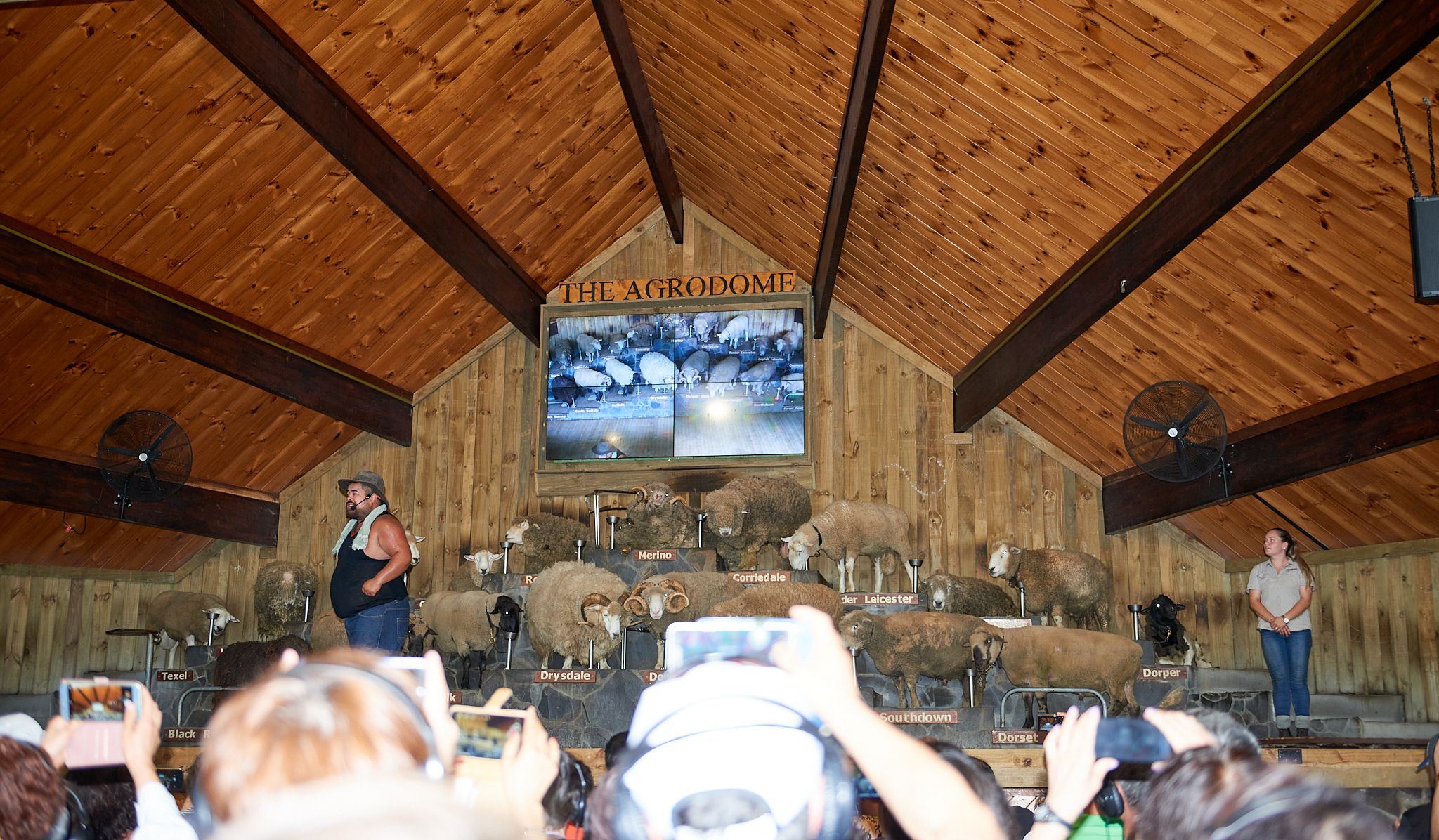 20180129 060 뉴질랜드 아그로돔 농장